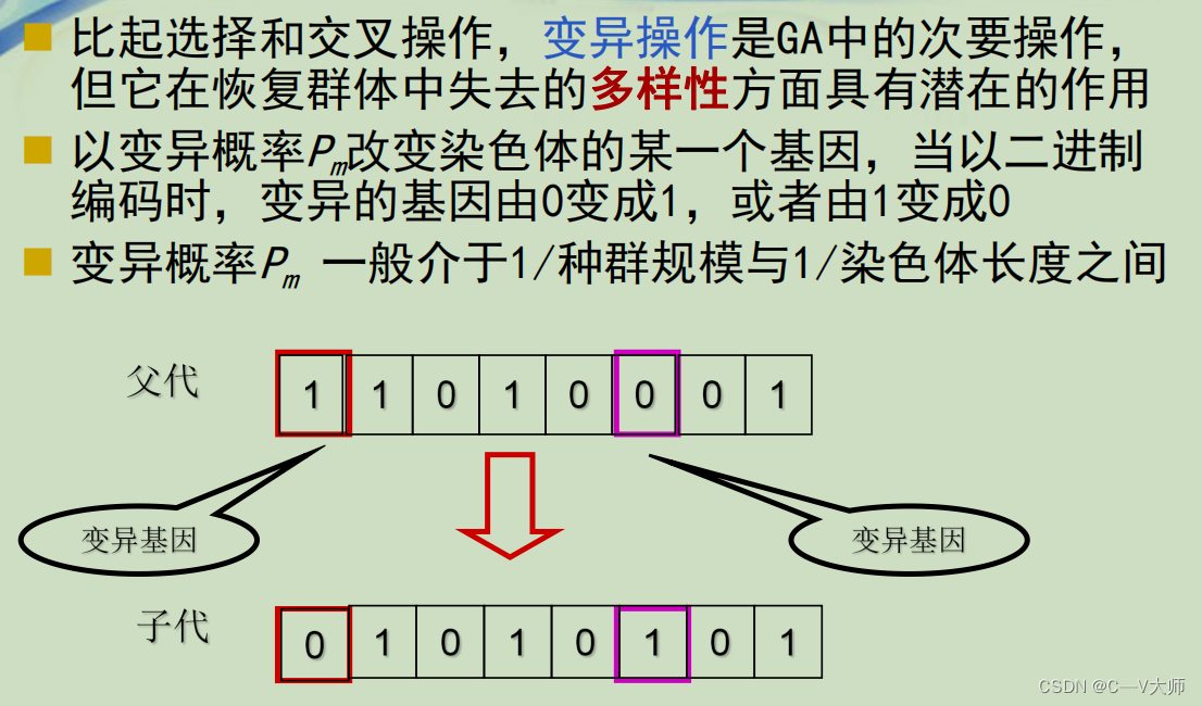 java 遗传算法排班 遗传算法编程_java 遗传算法排班_10