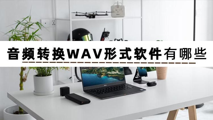 Java pcm文件转wav文件 pcm转wav的软件_音频处理_02