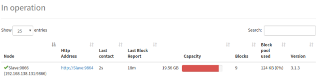 hadoop编码配置 hadoop slaves配置_IP_20