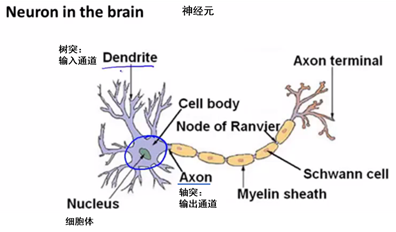 多分类问题的神经网络代码 多分类 神经网络_人工智能_03