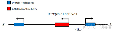 Systematic LncRNA Classification_sed