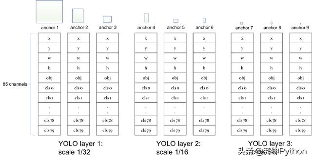 pytorch和python的区别 pytorch和yolo_卷积_06