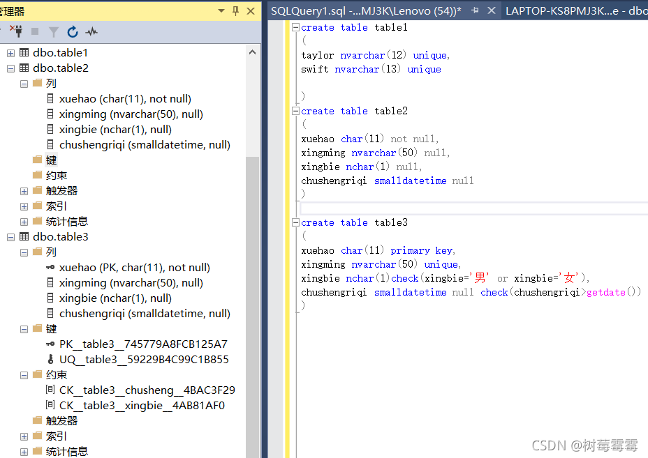 SQL server列出数据库表结构 sql server数据库的表由什么组成_数据库_08