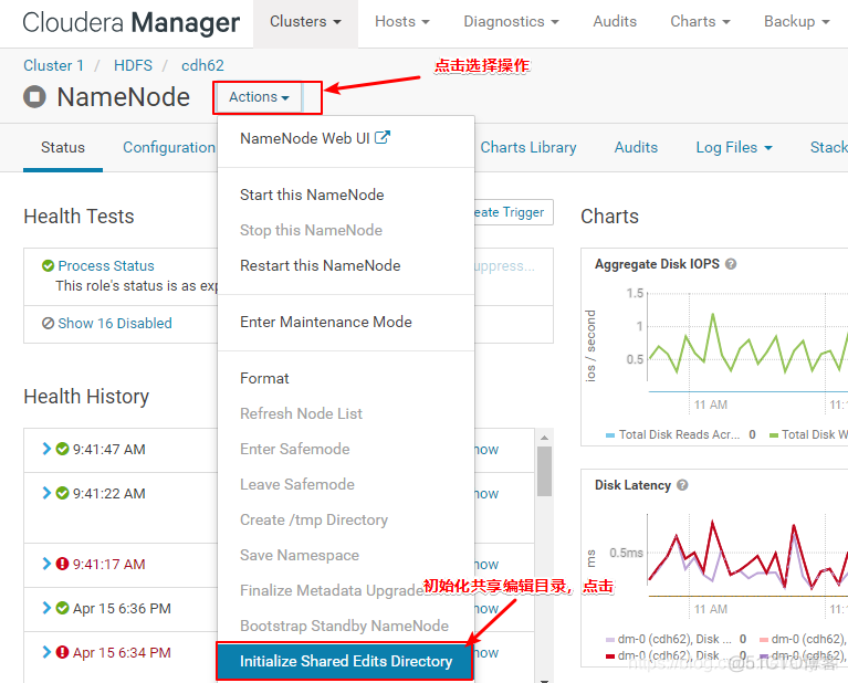 hadoop namenode datanode 地址 hadoop nameservice_CDH_15