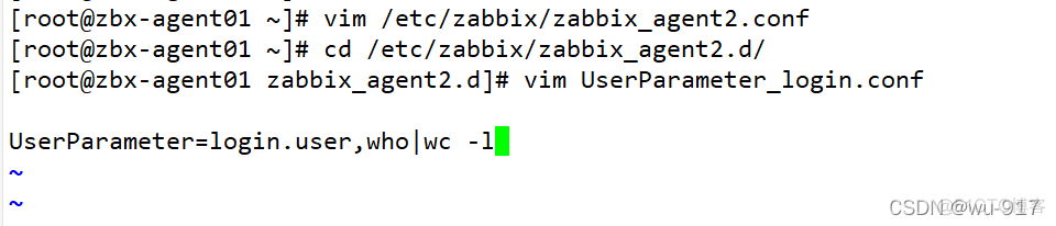 zabbix 监控java gc zabbix 监控统一身份认证_自定义_42