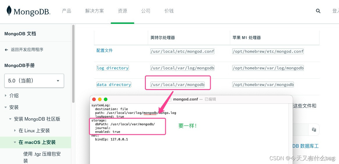 Mac mongodb教程 mac mongodb客户端_数据库_27