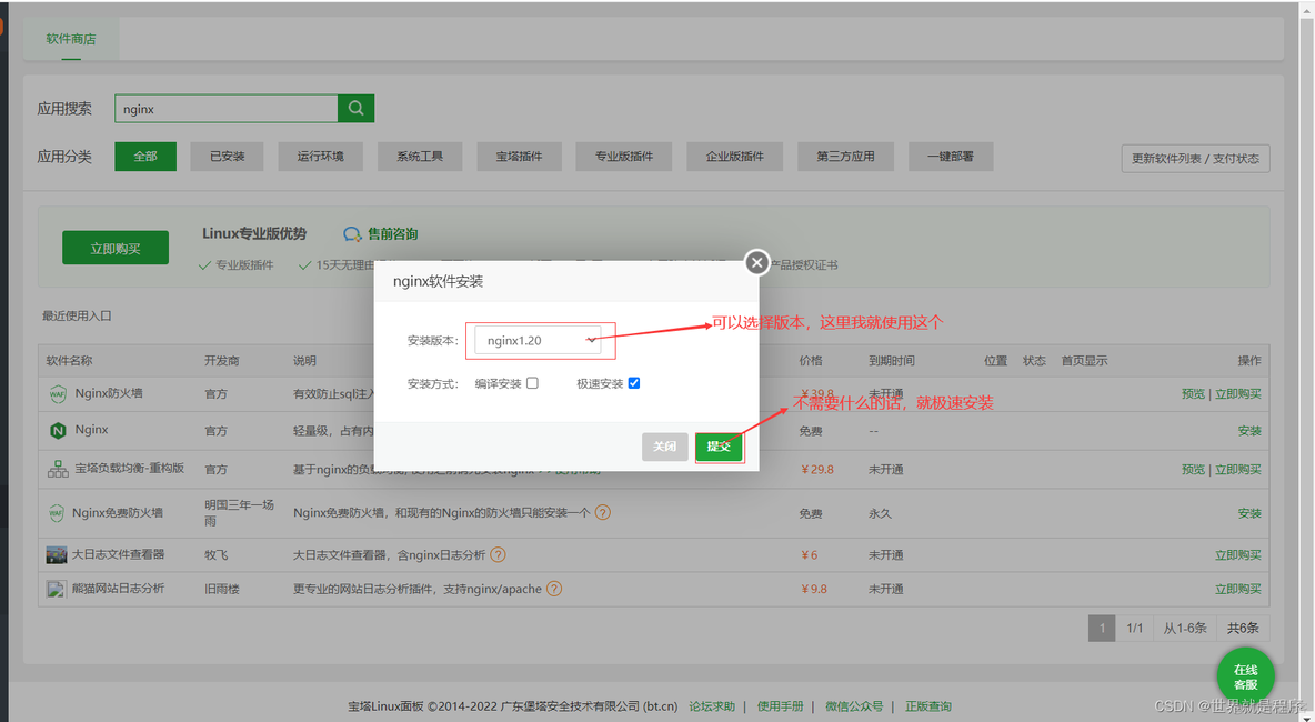 宝塔面板java项目无法启动 宝塔面板部署spring boot项目_java_10