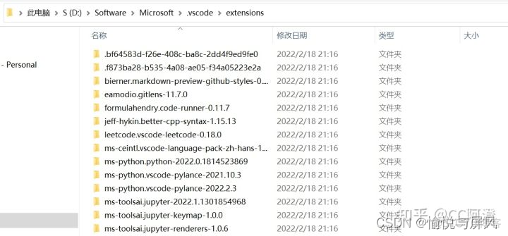 vscode安装的java插件 vscode插件安装路径_microsoft_02