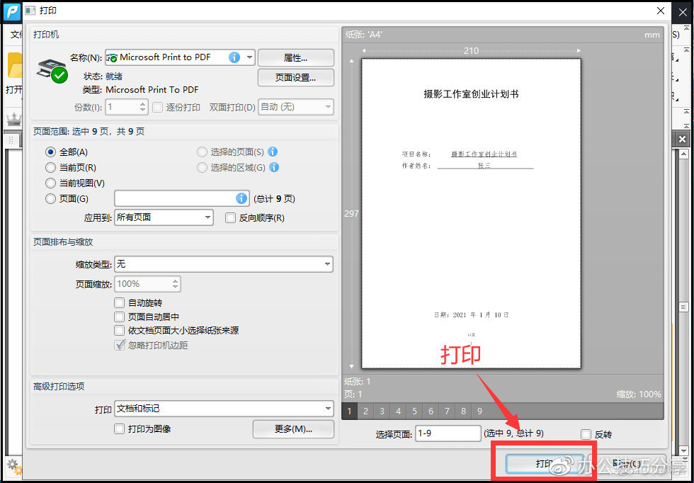 pdf阅读器 javascript PDF阅读器怎么打印_页面设置_08