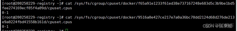 docker 限制cpu docker限制cpu频率_学习_13