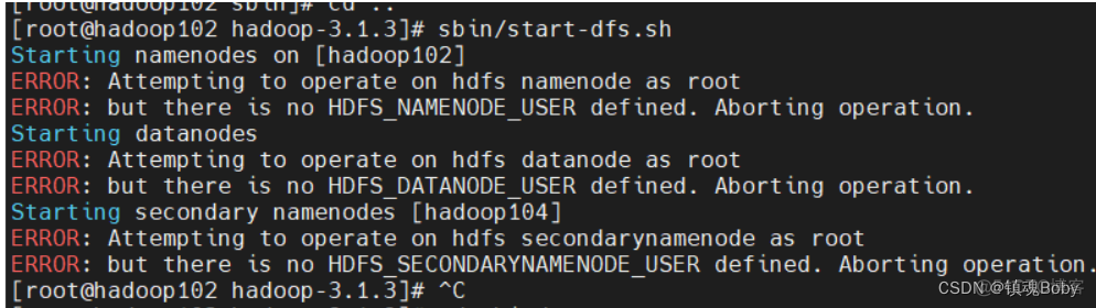 在HadoopMaster中配置主机名 hadoop secondarynamenode配置_大数据_12