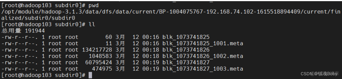 在HadoopMaster中配置主机名 hadoop secondarynamenode配置_在HadoopMaster中配置主机名_25