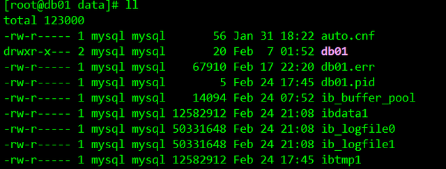 MySQL 的物理存储文件 mysql数据库物理存储结构_MySQL 的物理存储文件_03