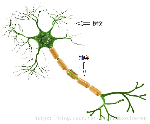 人工神经网络网格搜索 人工神经网络实例_机器学习