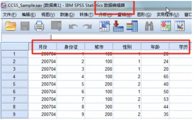 spss数据分析 python SPSS数据分析软件_数据挖掘