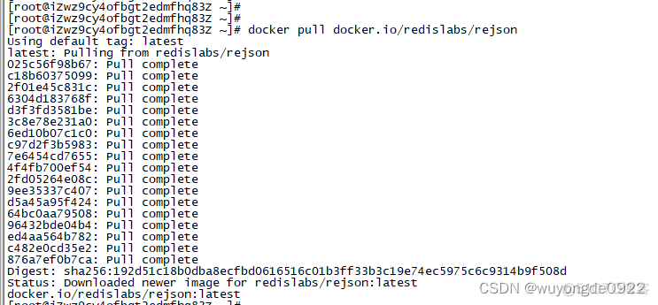 docker JSON如何添加代码 docker key.json_docker