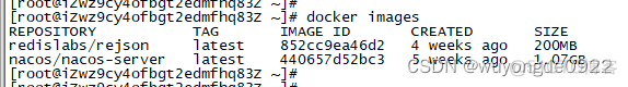 docker JSON如何添加代码 docker key.json_docker_02