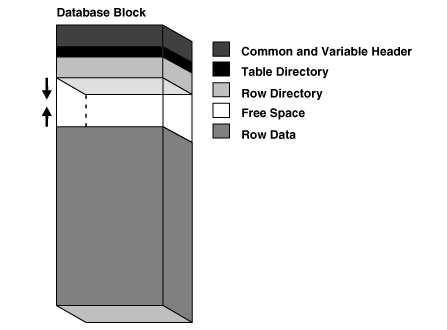 Oracle底层数据存储-详细_Java_06