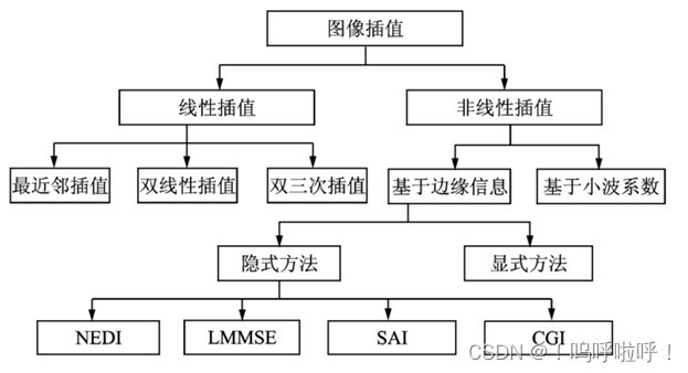 python图像最近邻插值 最近邻插值法的原理_线性插值