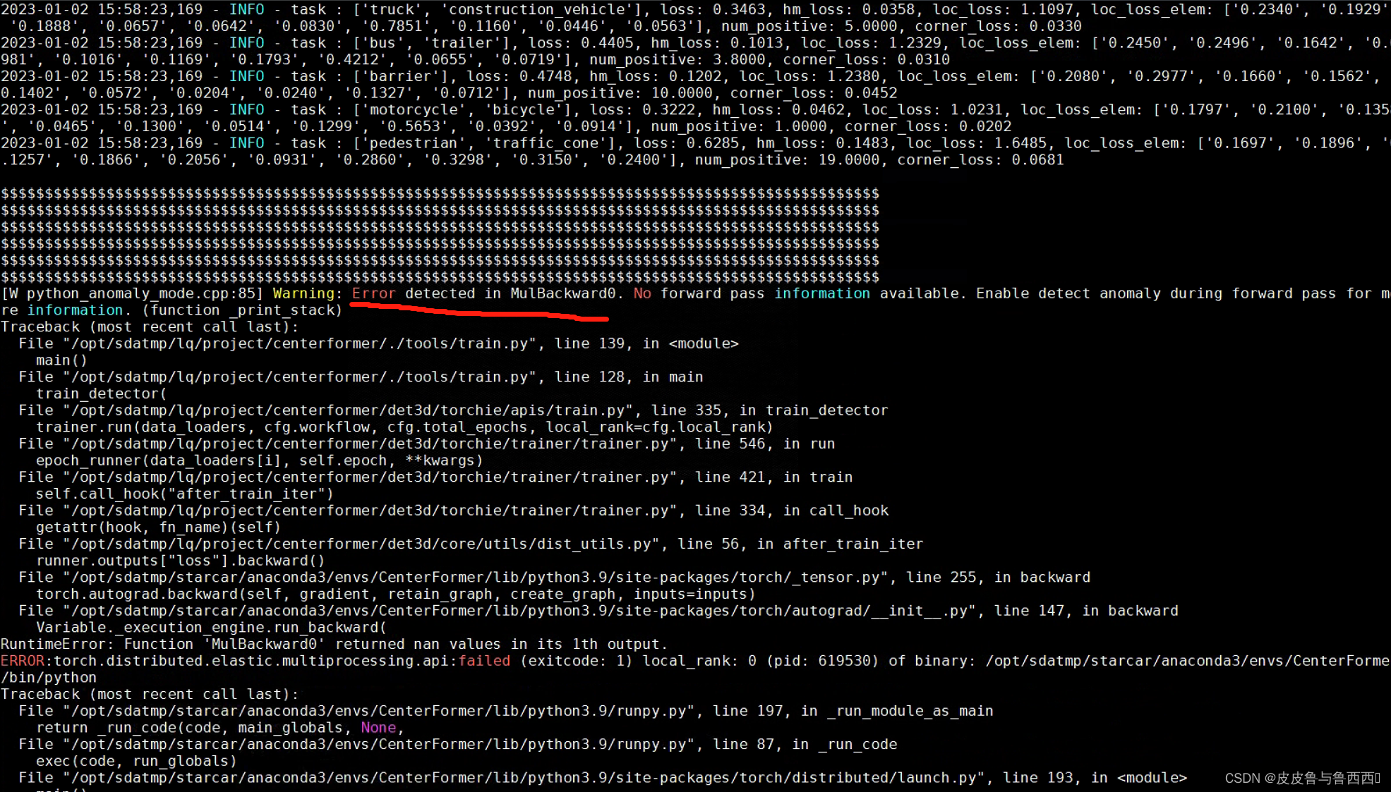 pytorch 指针网络代码 pytorch网络输出nan_pytorch 指针网络代码