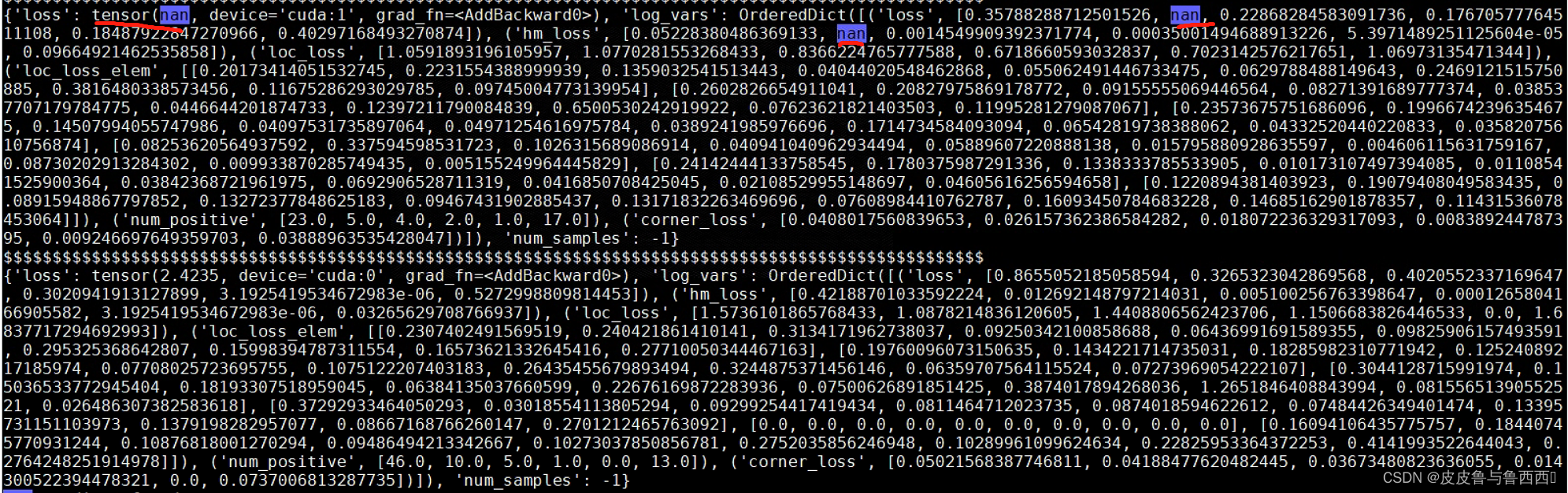 pytorch 指针网络代码 pytorch网络输出nan_深度学习_03