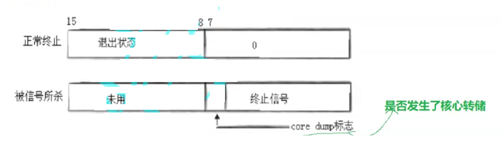 进程信号_自定义_04