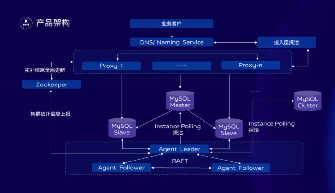 vivo组织结构图图片