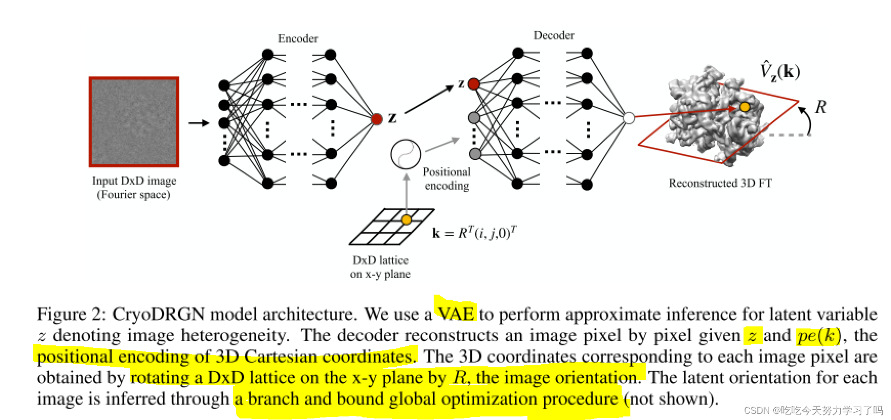 神经网络重建3D 神经网络重建三维结构_人工智能_04