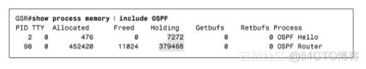 ipd研发中心架构 ipebg研发_OSPF_08