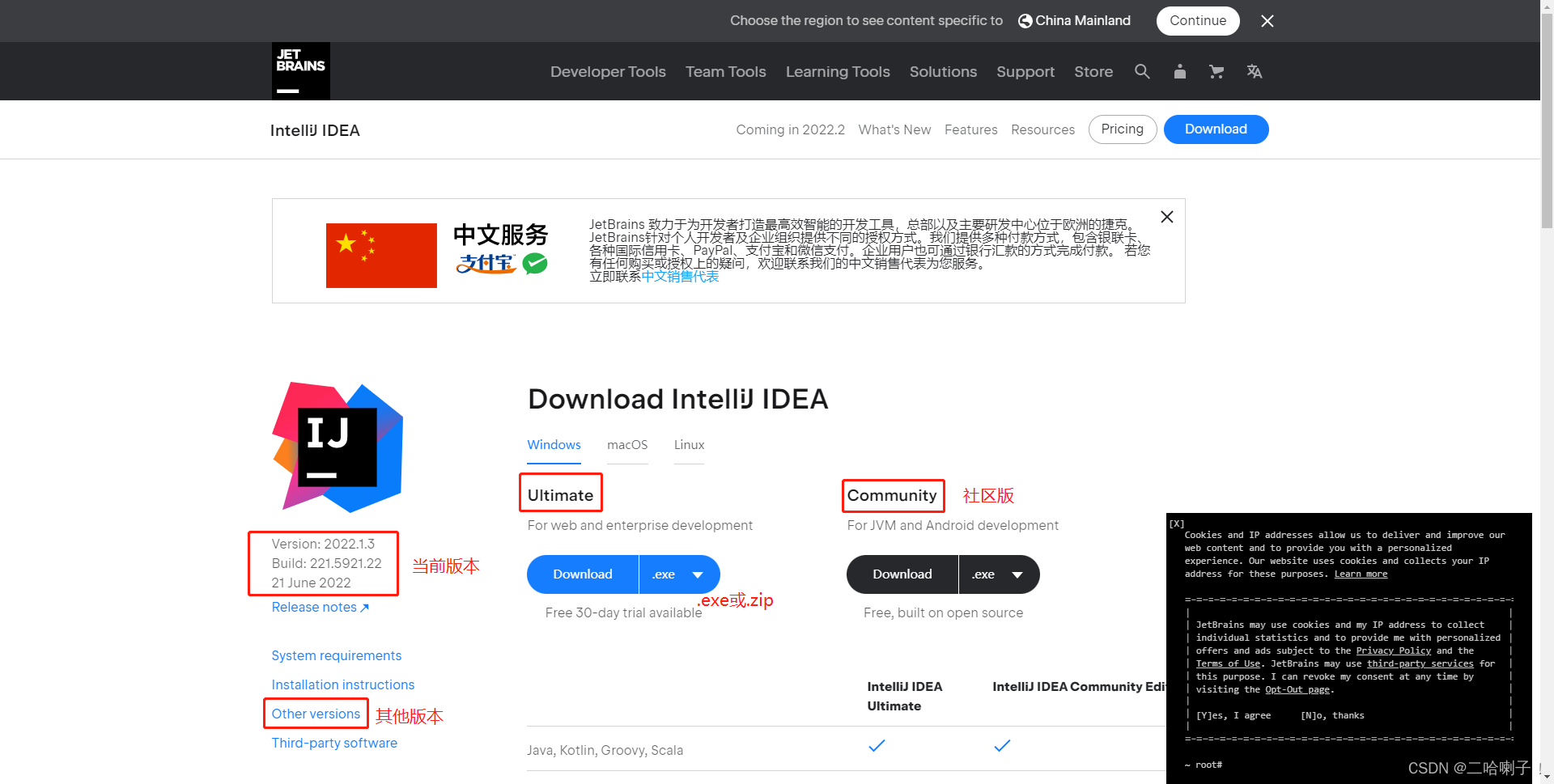 idea专业版如何安装python intepreter idea安装指南_intellij-idea