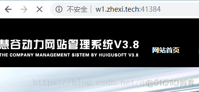 Java实现 内网穿透 web内网穿透_IIS_22