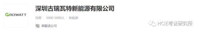 网工内推 | IT主管、高级网工，上市公司，必须持有HCIE认证_华为认证_02