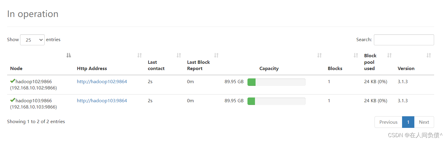 hadoop namenode 扩容节点 hadoop集群扩容_hadoop_02