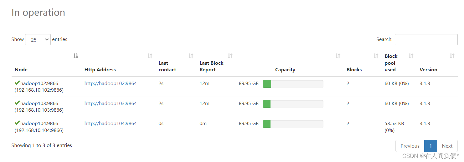 hadoop namenode 扩容节点 hadoop集群扩容_大数据_04