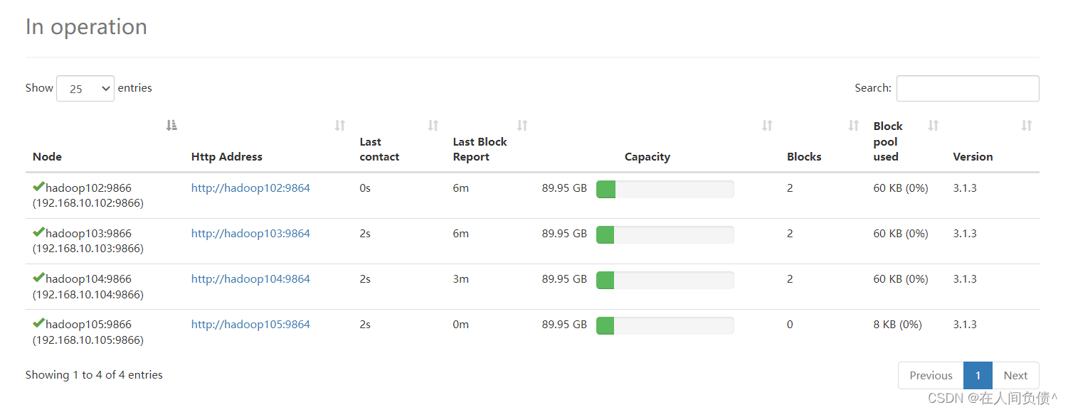 hadoop namenode 扩容节点 hadoop集群扩容_hadoop_05