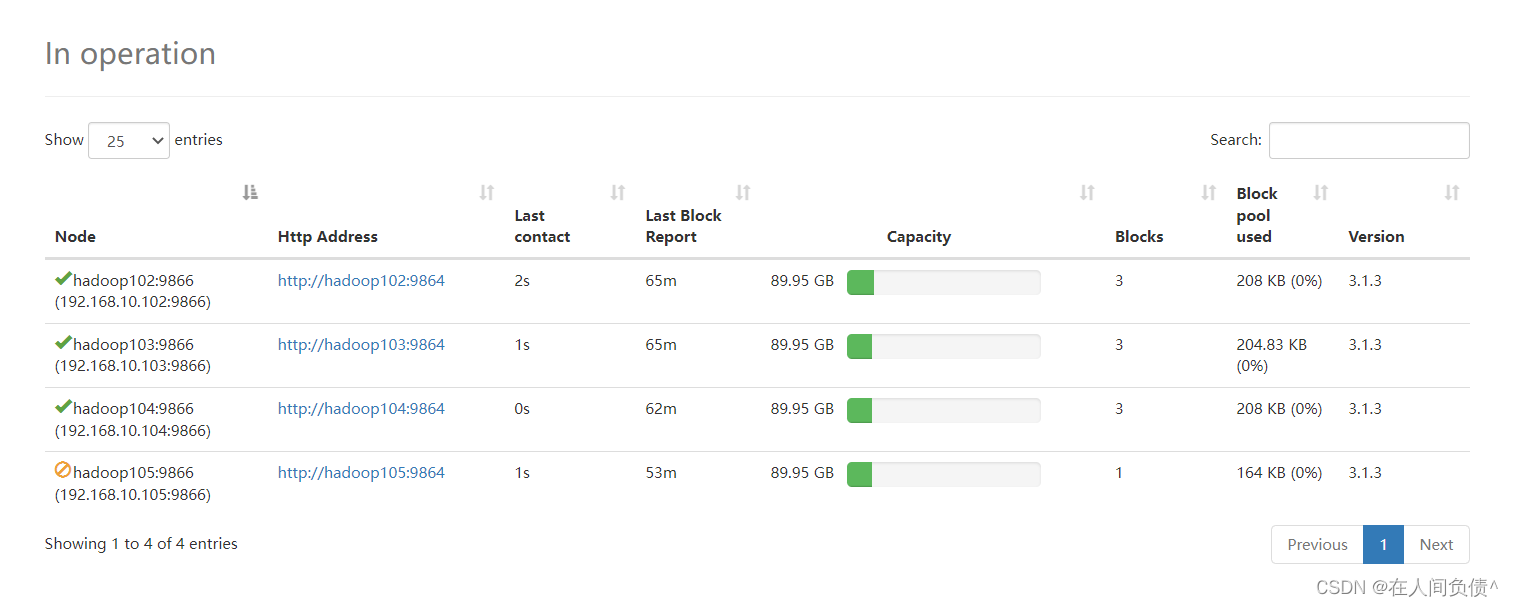 hadoop namenode 扩容节点 hadoop集群扩容_hdfs_10