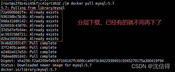 狂神 Docker进阶篇 狂神说docker_狂神 Docker进阶篇_11