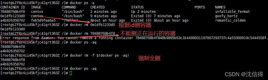 狂神 Docker进阶篇 狂神说docker_centos_16