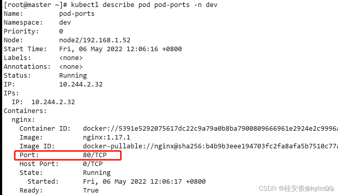 P TO P架构 pod架构_kubernetes_10