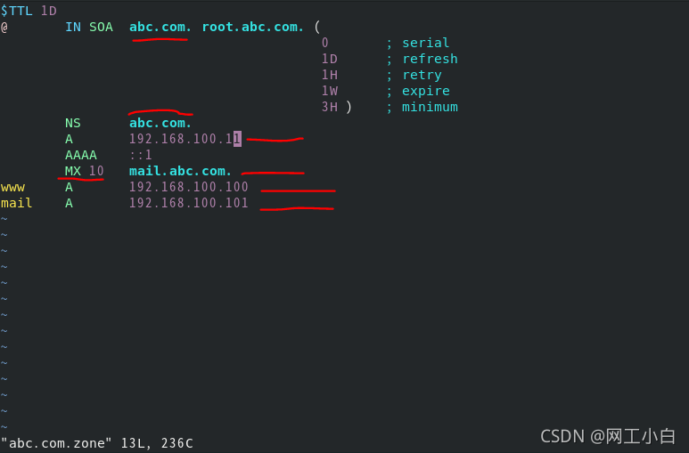 centos配置javahome Centos配置dns_linux_02