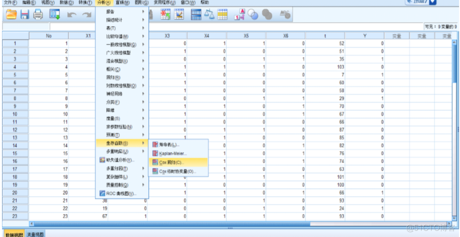 生存分析中位生存时间R语言 中位生存时间怎么算 spss_SPSS_05