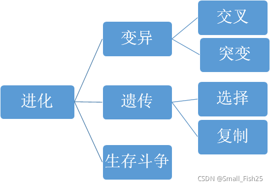 python halco算法 python ga算法_个体编码