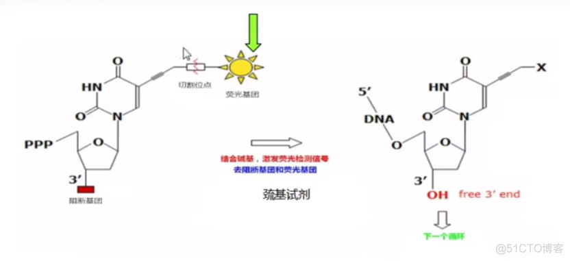 geo测序数据R语言分析 测序数据怎么分析_其他_04