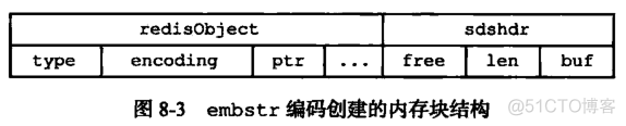 redis数据类型实战 redis数据类型实现_字符串_08