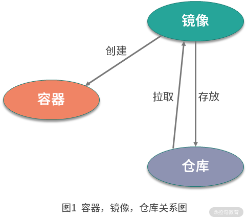 docker 进行 latest 具体的版本 docker release_学习