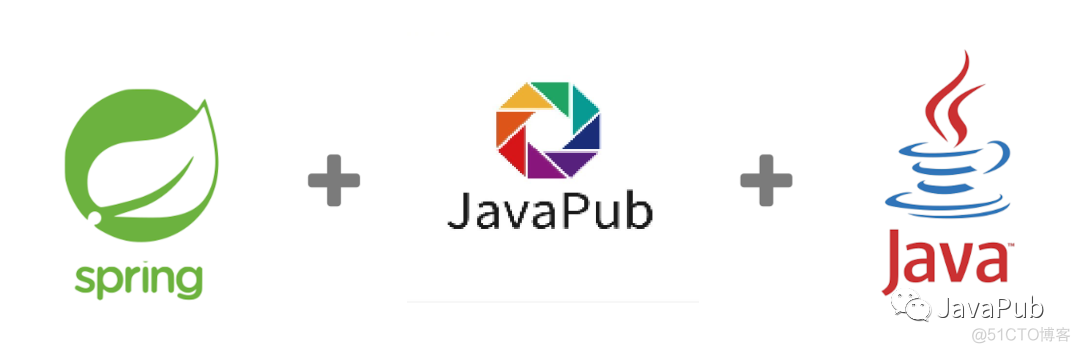 IoC 之 Spring 获取验证模型【JavaPub 源码】_底层实现