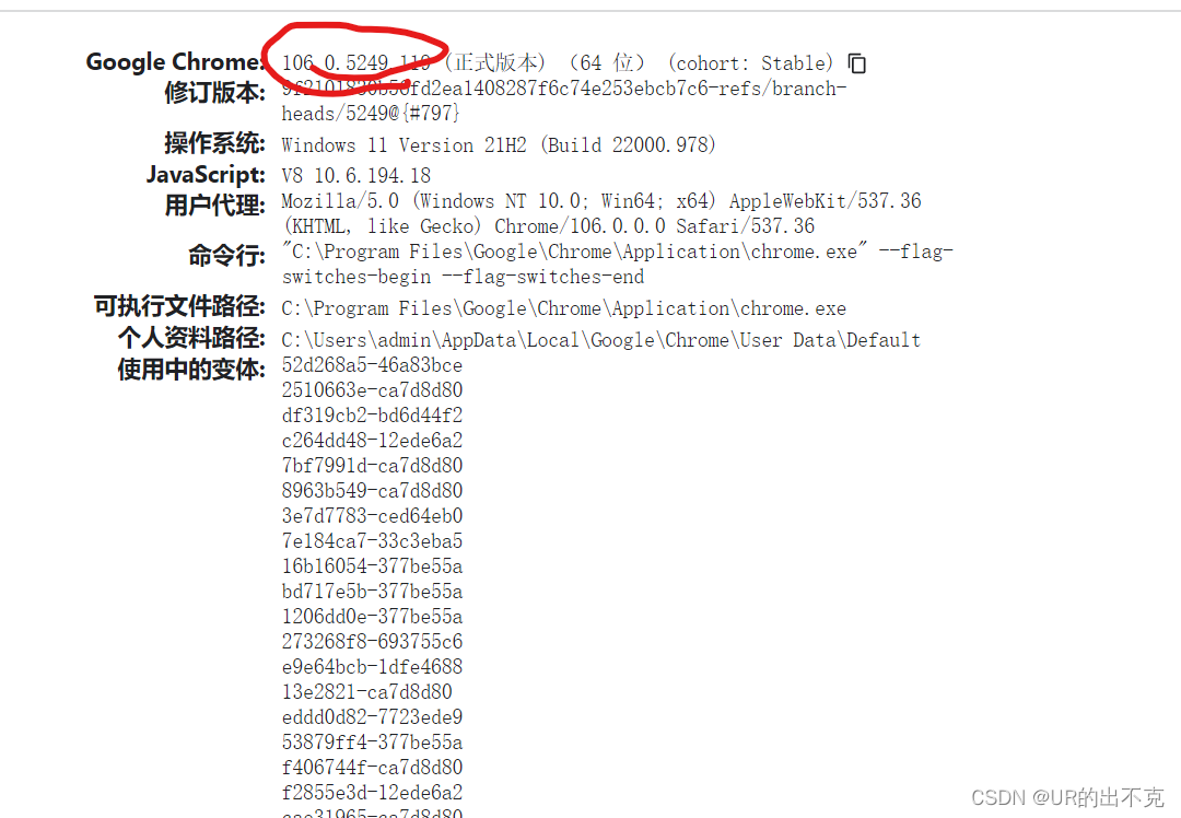 python selenium爬虫绕过检测 使用selenium爬虫并解析网页_python_04