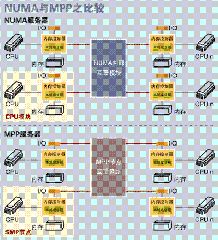 查看cpu 微架构 cpu架构numa_数据库_09