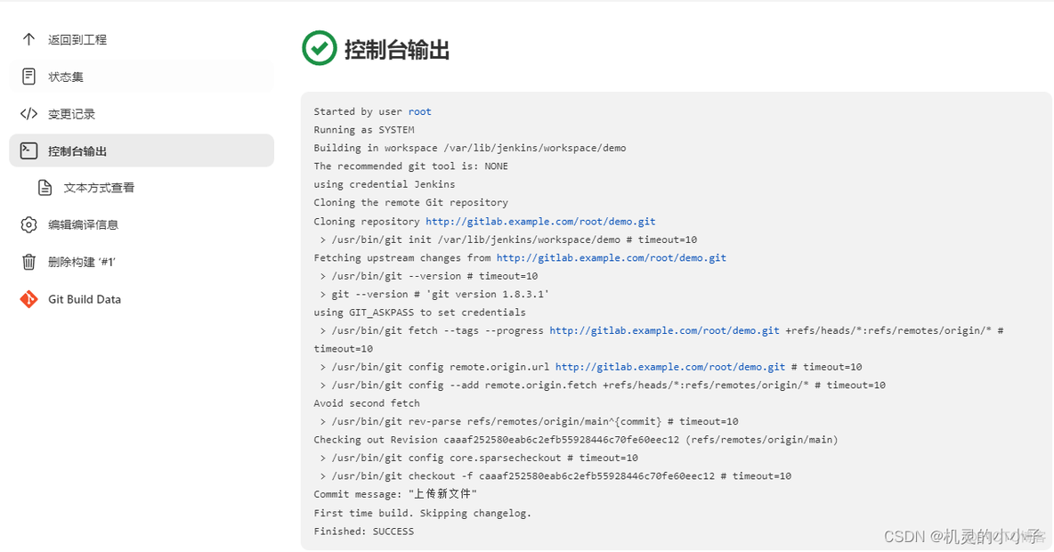 gitlabjava项目自动化部署案例 gitlab自动化构建_服务器_37