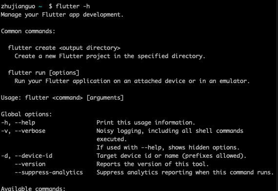 flutter ios开发测试 ios开发flutter环境_android_02